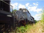 VLI 8359